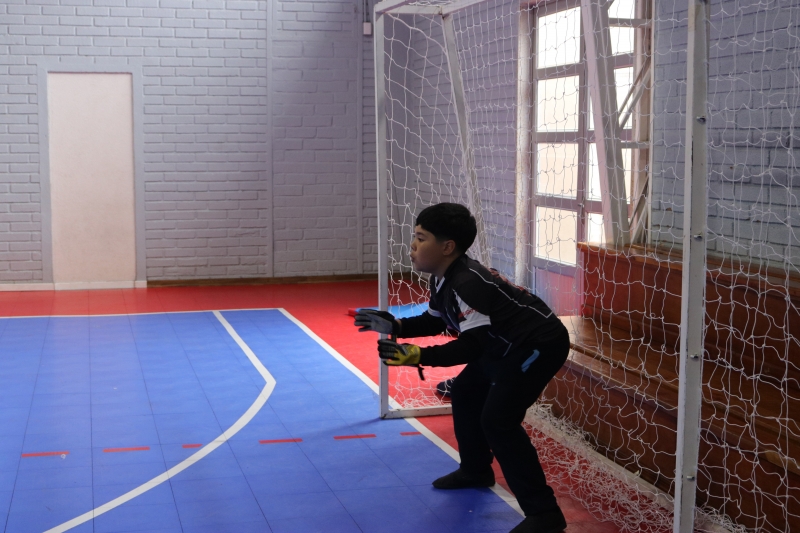 Día de la Actividad Física